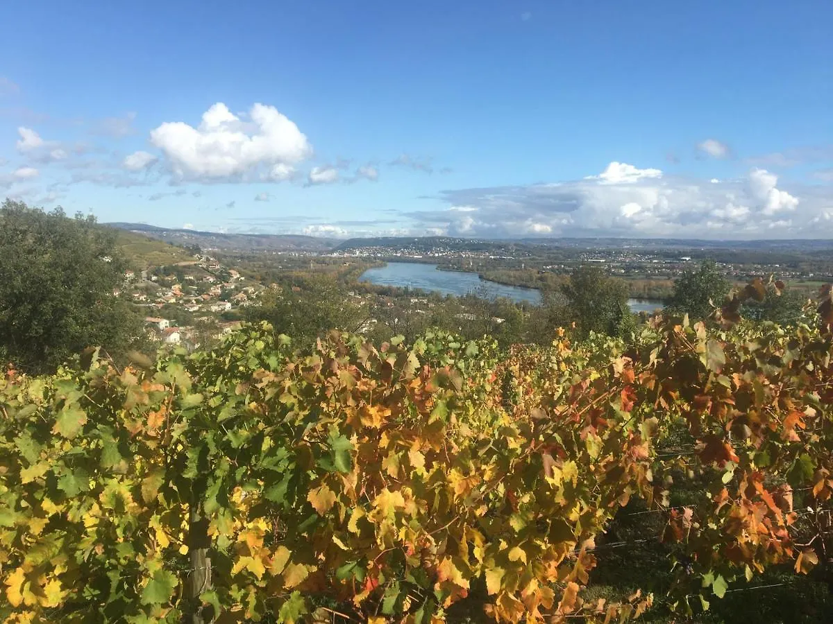 Chambre Spacieuse Le Clos Des Vignes Chavanay
